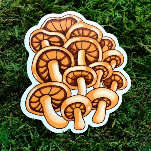 Oyster Mushroom sticker